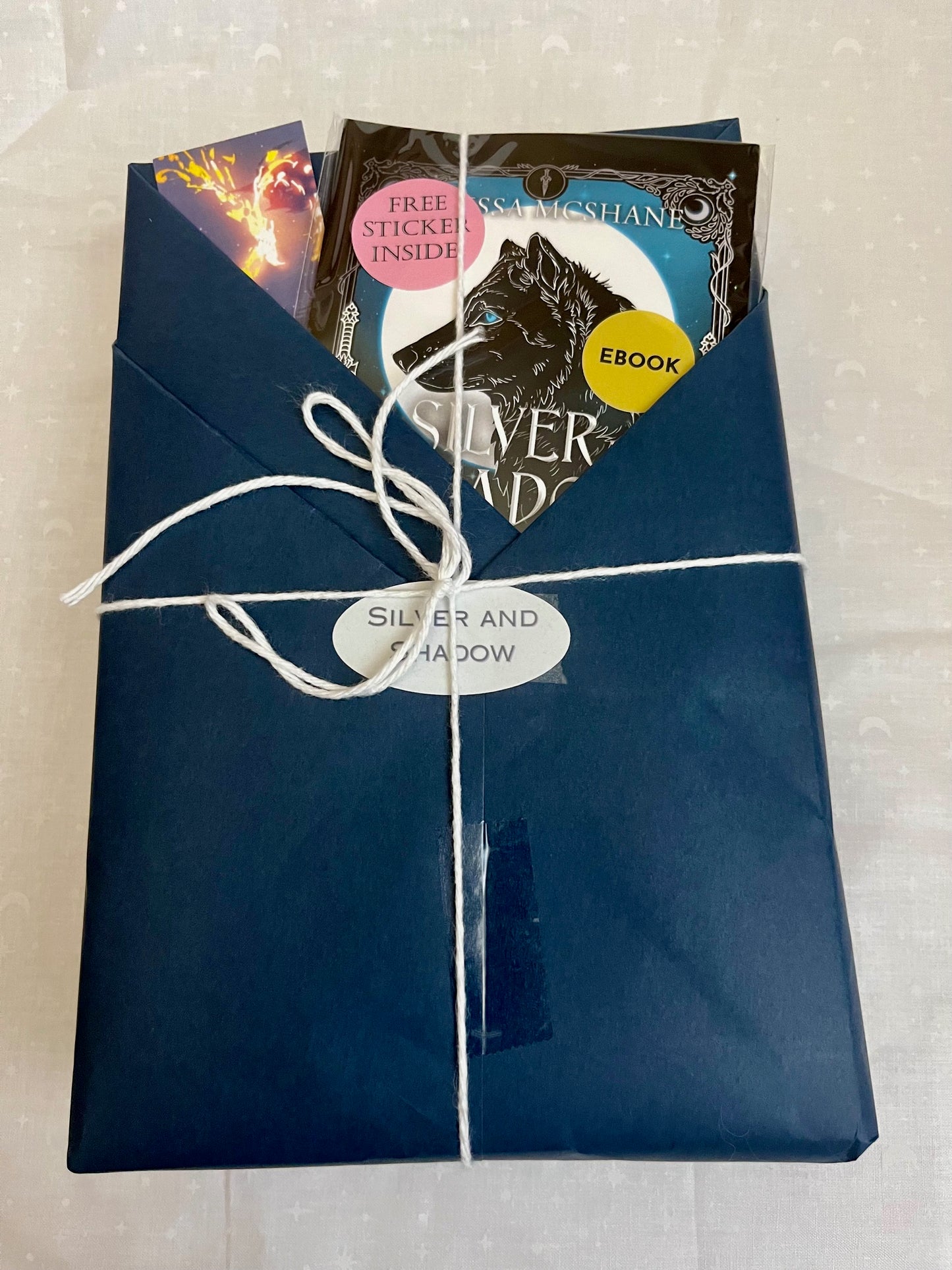 Silver and Shadow Book Bundle