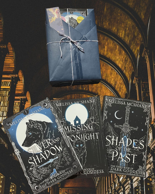 Silver and Shadow Book Bundle
